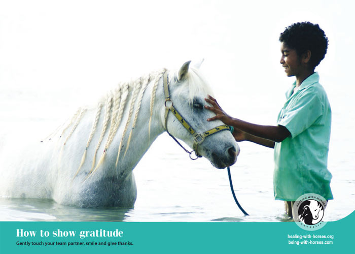 Healing with Horses Calendar 2016