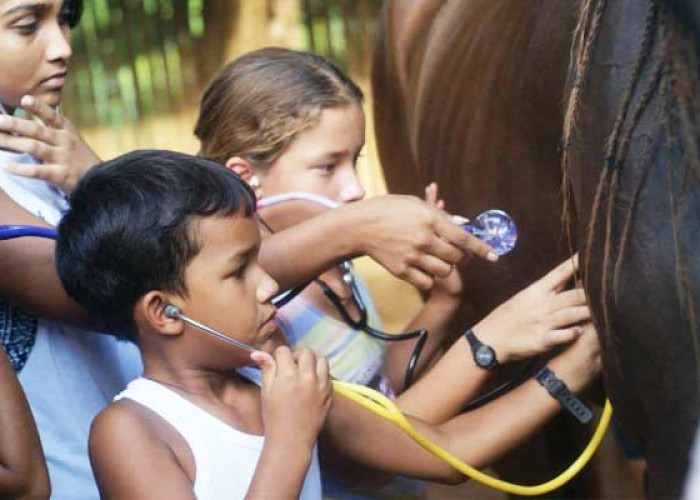 2nd Equine SCIENTISTS Workshop