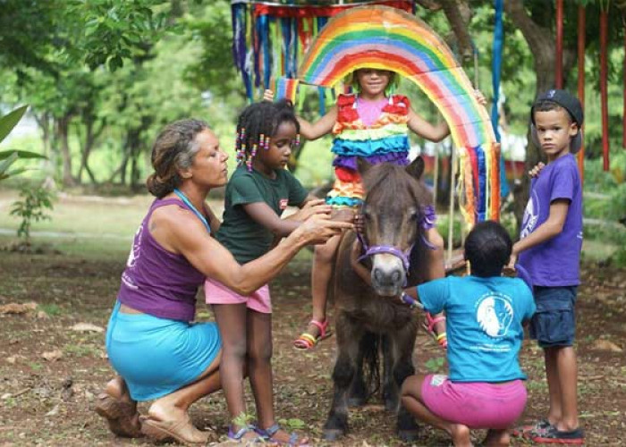 The Healing with Horses Park is open for the public!