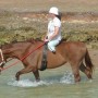 jennifer_2_6x4