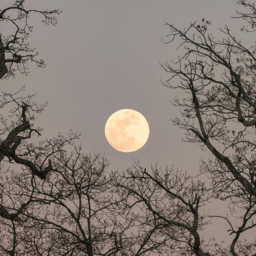 Full Moon Celebration