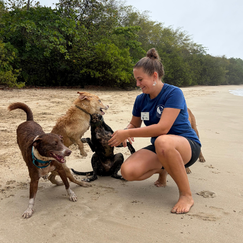 Beach Clean Up @ Buccoo Bay