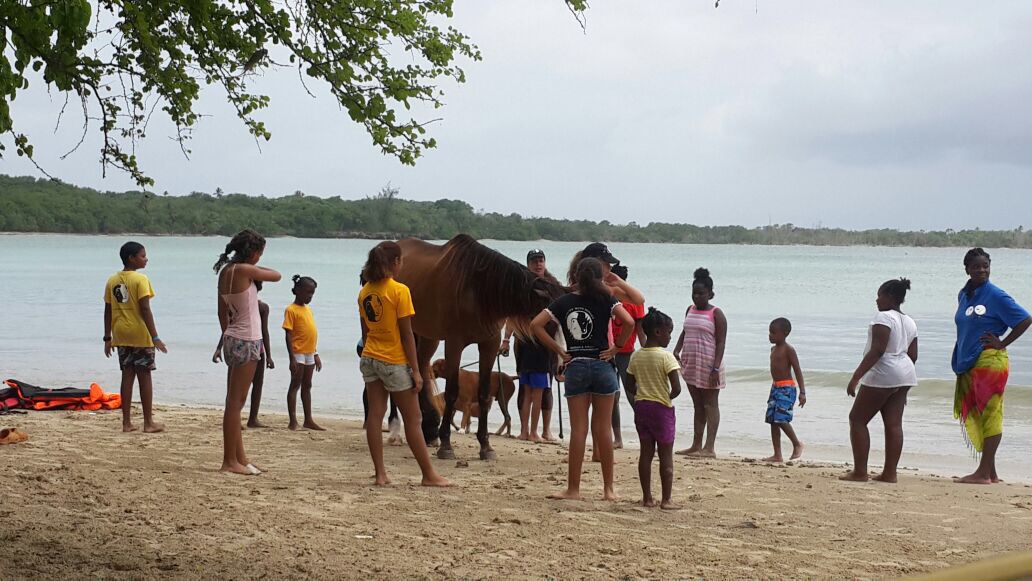 NGO Anniversary!- Healing with Horses Foundation