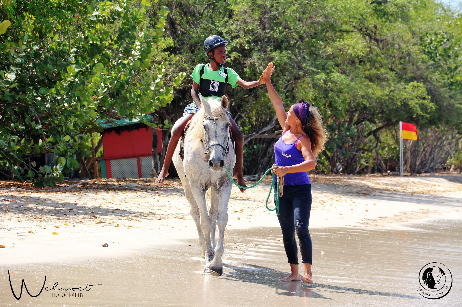 NPO- Healing With Horses Anniversary